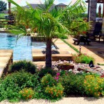 landscaping with rocks and palm